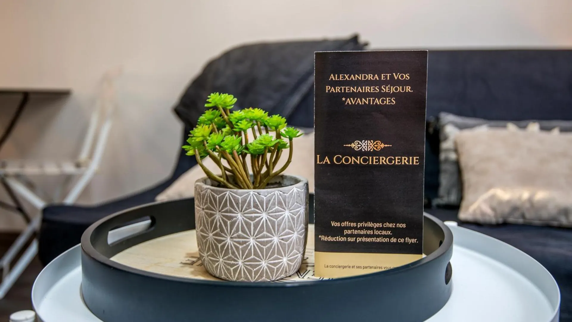 Le Canopee 3 Pers Appart F1 Terrasse Fibre Centre-Ville Millau Apartment